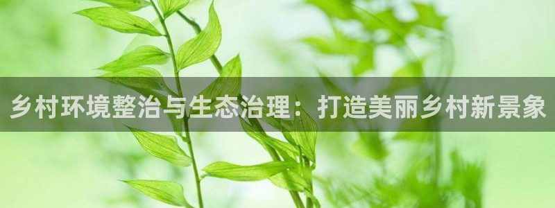 凯发k8一触即发：乡村环境整治与生态治理：打造美丽乡村新景象