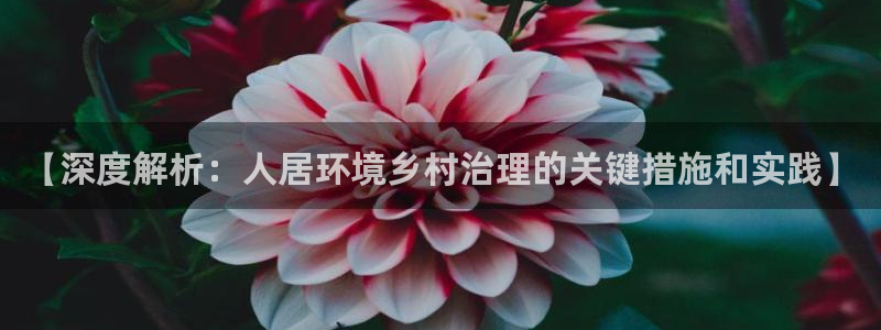 凯发k8官方旗舰店app：【深度解析：人居环境乡村治理的关键措施和实践】