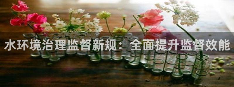 凯发k8娱乐官网手机端|水环境治理监督新规：全面提升监督效能