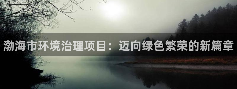 凯发k8国际首页登录|渤海市环境治理项目：迈向绿色繁荣的新篇章