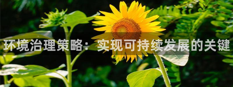 凯发k8娱乐官网手机端|环境治理策略：实